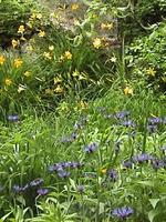 3,672+/- S.F. Oceanfront Cottage  Auction Photo