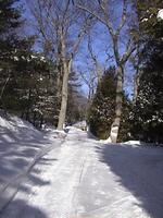 3,672+/- S.F. Oceanfront Cottage  Auction Photo