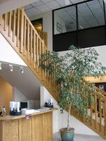 Main Foyer Auction Photo