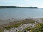 MAINE OCEANFRONT - Classic Maine Saltwater Farm Auction Photo
