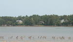 MAINE OCEANFRONT - Classic Maine Saltwater Farm Auction Photo