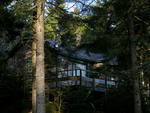 Par.#1 Maple & Locus Duplex Cottage Auction Photo