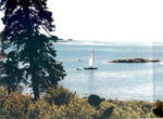 Goose Cove Sailboat & Zodiac Auction Photo