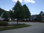 60,000+/- SF Development Property ~ 5.2+/- Acres ~ Former Viking Nursing Care Facility Auction Photo