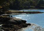 (10) Luxury Maine Cottage Homes ~ Rt. 1 Coml Bldg - Development Rights - 21+/- Acres Waterfront Auction Photo