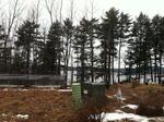 (10) Luxury Maine Cottage Homes ~ Rt. 1 Coml Bldg - Development Rights - 21+/- Acres Waterfront Auction Photo