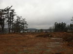 (10) Luxury Maine Cottage Homes ~ Rt. 1 Coml Bldg - Development Rights - 21+/- Acres Waterfront Auction Photo