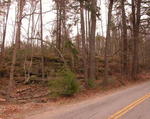 5+/- Acres Eddy Rd. Auction Photo