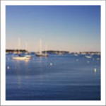 The Village at Ocean's End Development Opportunity Auction Photo