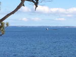Oceanfront Home - 10.64+/- Acres - 500'+/- Deepwater Frontage on Penobscot Bay Auction Photo