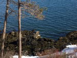 Oceanfront Home - 10.64+/- Acres - 500'+/- Deepwater Frontage on Penobscot Bay Auction Photo