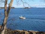 Oceanfront Home - 10.64+/- Acres - 500'+/- Deepwater Frontage on Penobscot Bay Auction Photo