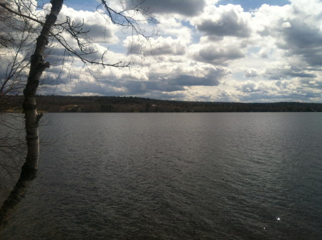 Waterfront Cottage Auction Photo