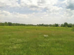 Executive Ranch Style Home - 18+/- Acres Auction Photo