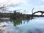 4,500+/-SF Colonial Water Views & Access ~ Waterfront Lot & Island  ~ Cabin & Barn Auction Photo
