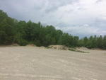 Gravel Pit  51+/- AcresRe: Gurney Pit Auction Photo