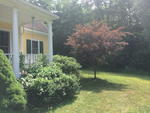 5-Bedroom Colonial Home  1.48+/- Acres Auction Photo