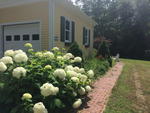 5-Bedroom Colonial Home  1.48+/- Acres Auction Photo