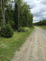 4BR Waterfront Chalet - Rangeley Area Auction Photo