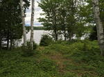 4BR Waterfront Chalet - Rangeley Area Auction Photo