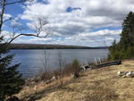 Glimmerglass Lodge 3+/-Acres - 342+/- Ft. Lake Frontage  (4) Rustic Cabins Auction Photo