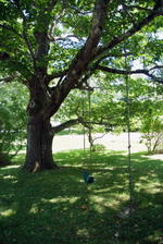 Renovated 1820s Farmhouse - 54+/- Acres - Royal River Frontage Auction Photo