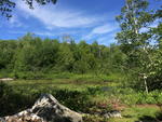 Waterfront Cottage - .11+/- Acres - Phillips LakeVillage of Lucerne-In-Maine Auction Photo