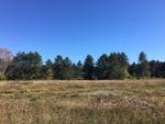 54.85+/- Acre Residential Development - Horton Meadows Auction Photo