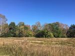 54.85+/- Acre Residential Development - Horton Meadows Auction Photo