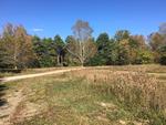 54.85+/- Acre Residential Development - Horton Meadows Auction Photo