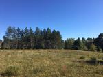 54.85+/- Acre Residential Development - Horton Meadows Auction Photo