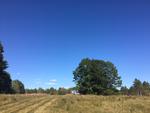 54.85+/- Acre Residential Development - Horton Meadows Auction Photo