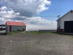 206+/- Acres Farmland  - Potato Storages - Shop Buildings Auction Photo