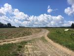 206+/- Acres Farmland  - Potato Storages - Shop Buildings Auction Photo