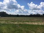 206+/- Acres Farmland  - Potato Storages - Shop Buildings Auction Photo