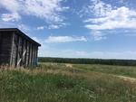 208+/- Acre Farm  Home  Barns - Outbuildings Auction Photo