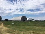 208+/- Acre Farm  Home  Barns - Outbuildings Auction Photo