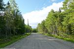 4.12+/- Acre Waterfront Parcel, Lot#5 Peaceful Point Rd., Waltham, Maine Auction Photo