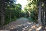 4.12+/- Acre Waterfront Parcel, Lot#5 Peaceful Point Rd., Waltham, Maine Auction Photo