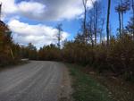 6.2+/- Acres, Lot#12 Overlook Drive, Amherst, Maine Auction Photo