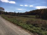 17+/- Acres - (2) Parcels - Orrington, Maine Auction Photo