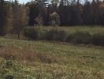17+/- Acres - (2) Parcels - Orrington, Maine Auction Photo