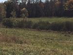 17+/- Acres - (2) Parcels - Orrington, Maine Auction Photo