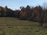 17+/- Acres - (2) Parcels - Orrington, Maine Auction Photo