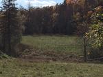17+/- Acres - (2) Parcels - Orrington, Maine Auction Photo
