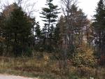 85+/- Acres - (4) Parcels - Bucksport, Maine Auction Photo