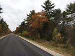 85+/- Acres - (4) Parcels - Bucksport, Maine Auction Photo