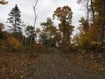 85+/- Acres - (4) Parcels - Bucksport, Maine Auction Photo