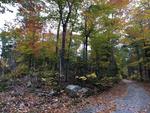 85+/- Acres - (4) Parcels - Bucksport, Maine Auction Photo