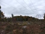 85+/- Acres - (4) Parcels - Bucksport, Maine Auction Photo